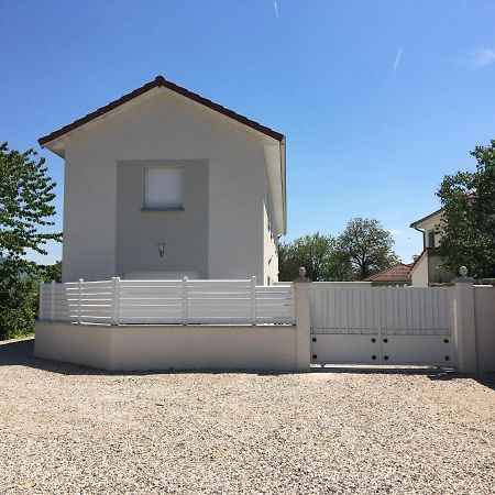 Montalieu Sejour 2 Maisons, Les Tulipes Ou Les Bambous Zewnętrze zdjęcie