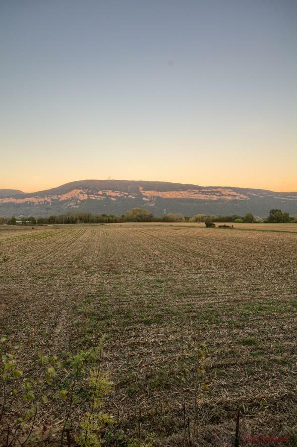 Montalieu Sejour 2 Maisons, Les Tulipes Ou Les Bambous Zewnętrze zdjęcie