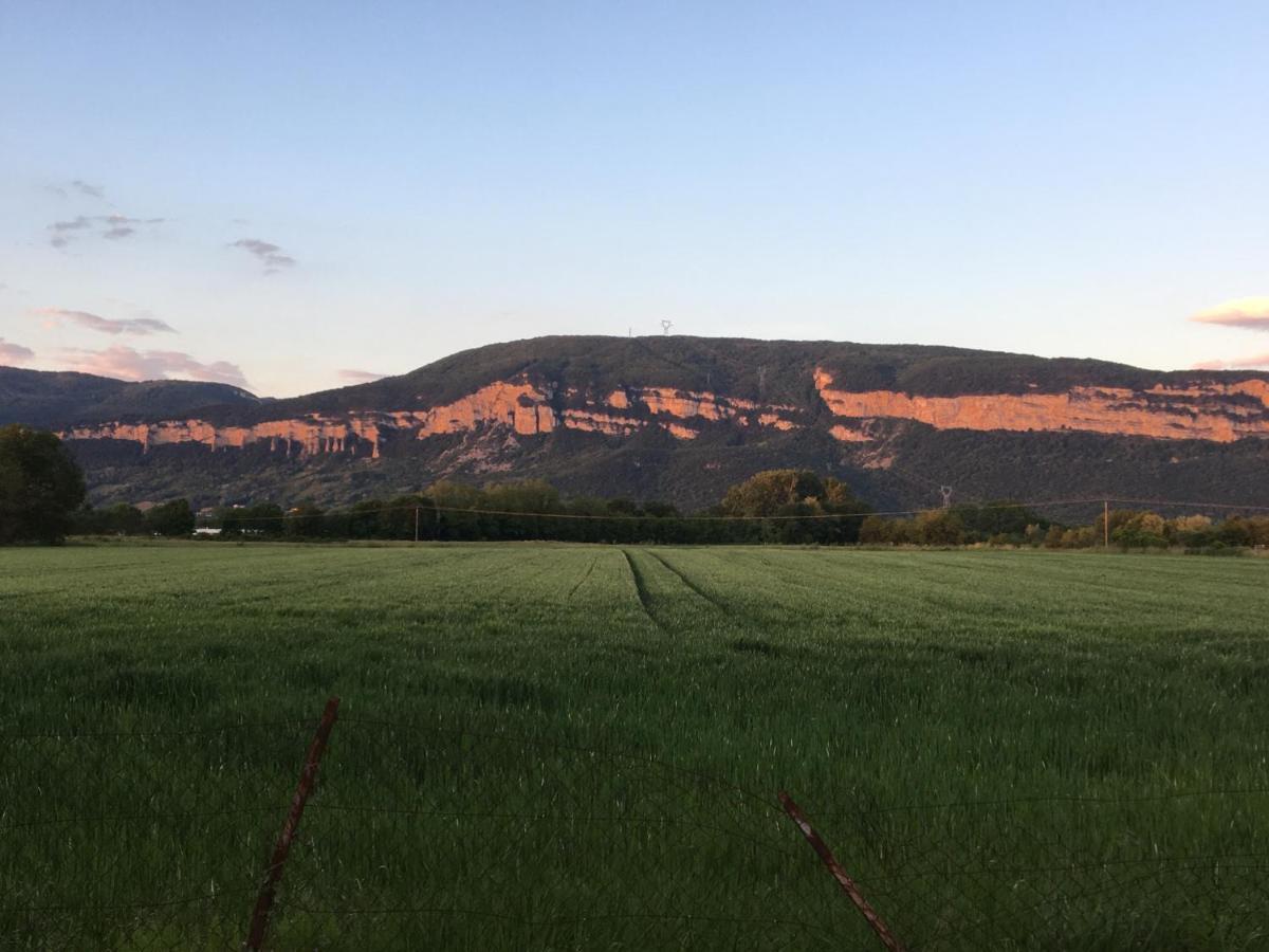 Montalieu Sejour 2 Maisons, Les Tulipes Ou Les Bambous Zewnętrze zdjęcie